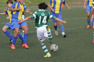 华体会全站-体育纪录片内容更加丰富，体育纪录片主题