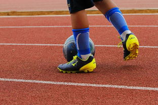 华体会app客服-明星球员带动体育产业发展，打造体育明星的弊端  第1张